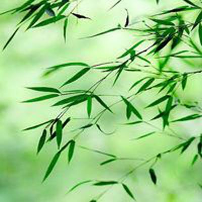 御剑飞仙正版领红包版